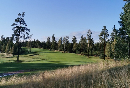 Long green golf course, with tall trees framing either side.