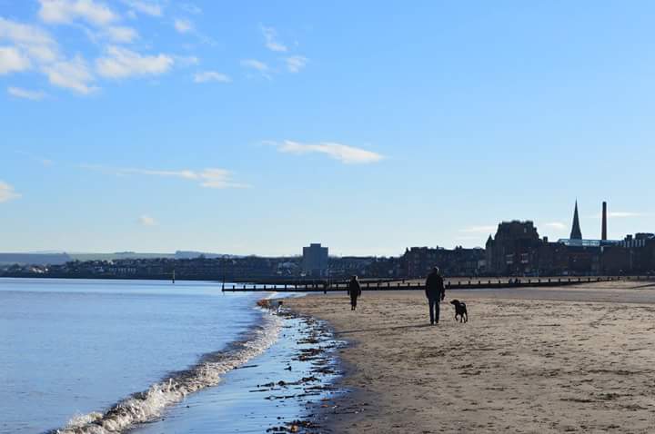 Two people and a dog walking along a quiet beach on a sunny day