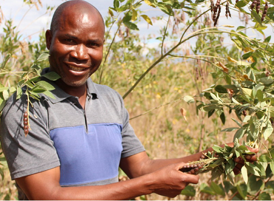 Farmer in Malawi tending to his crop