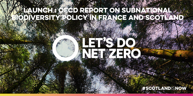 Forest image background with white text.