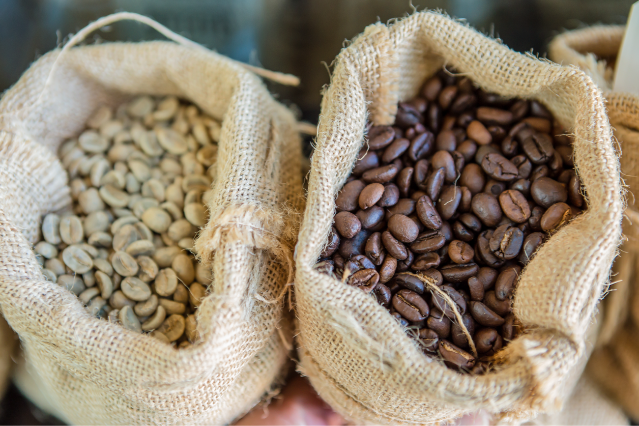 Two hessian sacks filled with green and roasted coffee beans