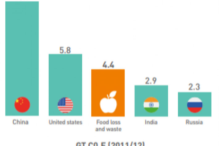 A graph showing the countries who waste food