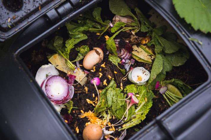 Food waste in the bin