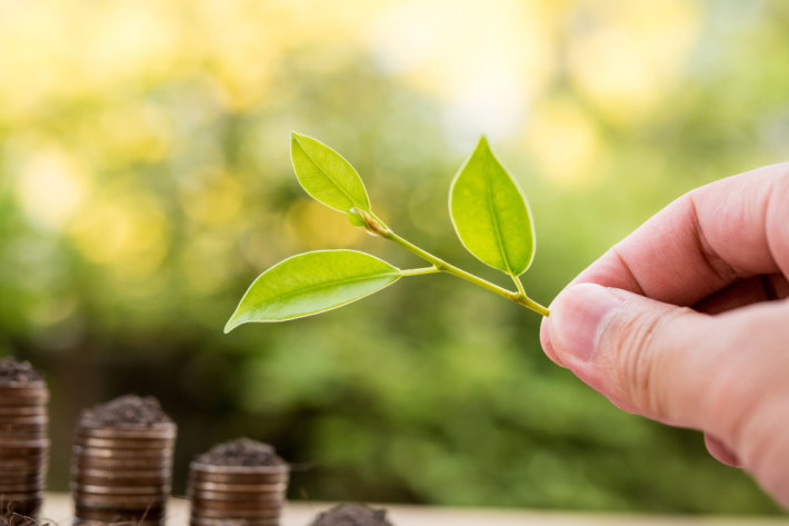 Plant and coins