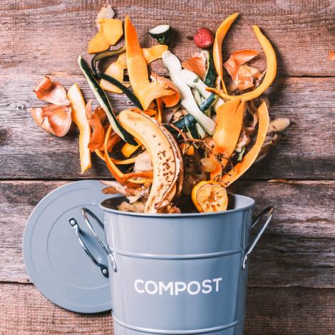 Food waste in a compost bin